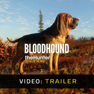 theHunter Call of the Wild Bloodhound Video Trailer