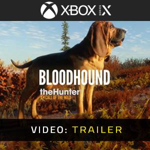 theHunter Call of the Wild Bloodhound Video Trailer