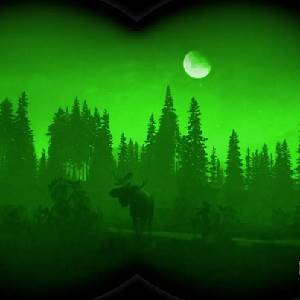 theHunter Call of the Wild Master Hunter Bundle - GenZero 1-4x20 Nachtsicht Zielfernrohr