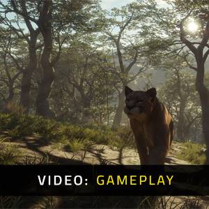 theHunter Call of the Wild Parque Fernando - Gameplay Video