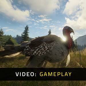 theHunter Call of the Wild Silver Ridge Peaks Gameplay Video