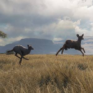 theHunter Call of the Wild Vurhonga Savanna - Springbock