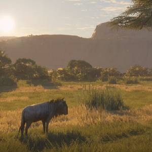 theHunter Call of the Wild Vurhonga Savanna - Blaues Gnu