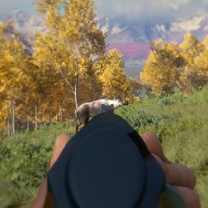 theHunter Call of the Wild Weapon Pack 3 - Gewehr