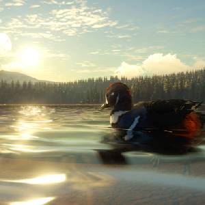 theHunter Call of the Wild Yukon Valley - Harlekinente