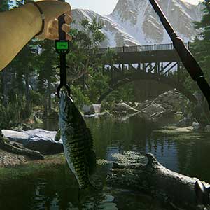 Ultimate Fishing Simulator 2 - Bass Fisch