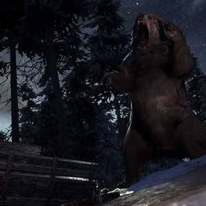 Winter Survival Simulator - Wilder Bär