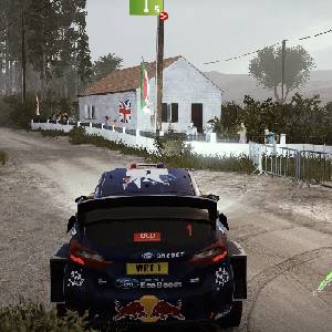 WRC 7 FIA World Rally Championship - Kurve