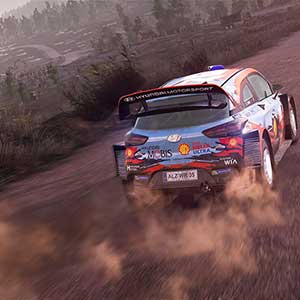 WRC 9 Rennen auf dem Land
